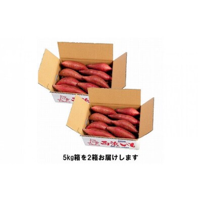 西浜いも(べにはるか)10kg(5kg×2)