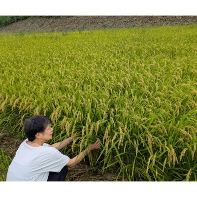 【令和8年産】有機肥料米ナオちゃんのお米【出雲市産きぬむすめ】5kg(1袋)
