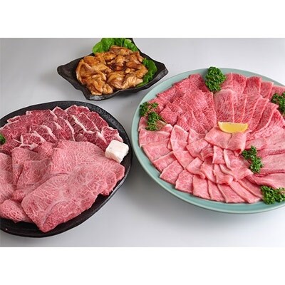 【希少部位で素敵な食体験を】飛騨牛・黒毛和牛の焼肉たっぷり4.0kg