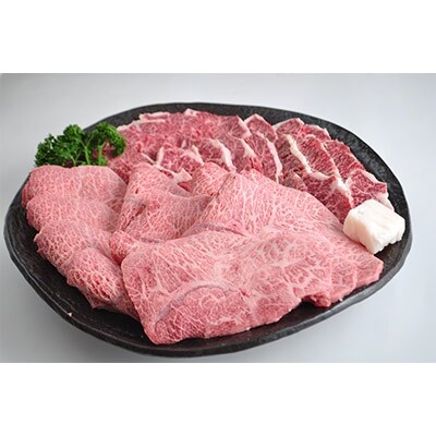 【希少部位で素敵な食体験を】飛騨牛・黒毛和牛の焼肉たっぷり4.0kg