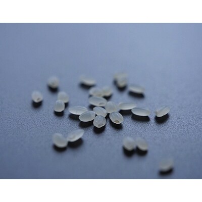 「2021年3月中旬発送」【令和2年産】南魚沼『塩沢産コシヒカリ』 精米　2kg×1袋