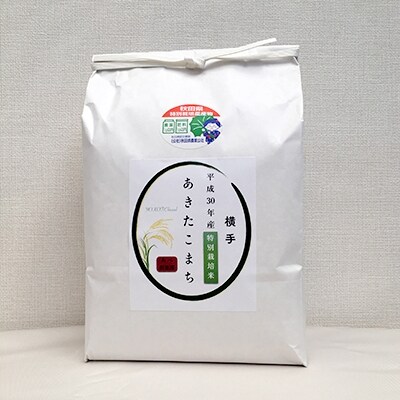 令和元年産あきたこまち 精米6kg(3kg×2袋) 秋田県特別栽培米 あべ倶楽部