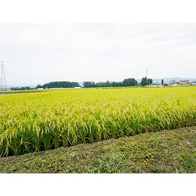 令和元年産あきたこまち 精米6kg(3kg×2袋) 秋田県特別栽培米 あべ倶楽部