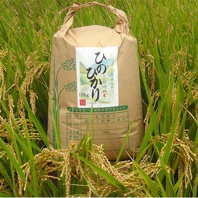 【令和元年産米】対馬産「ほたる舞う三根川の米」ひのひかり(10kg×1袋)