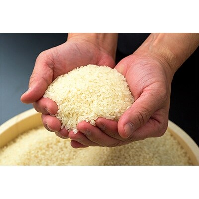 【令和元年産米】対馬産「ほたる舞う三根川の米」ひのひかり(10kg×1袋)
