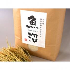 kg 米のお礼品 返礼品一覧 ふるさと納税サイト さとふる kg 米のお礼品 返礼品一覧 ふるさと納税サイト さとふる