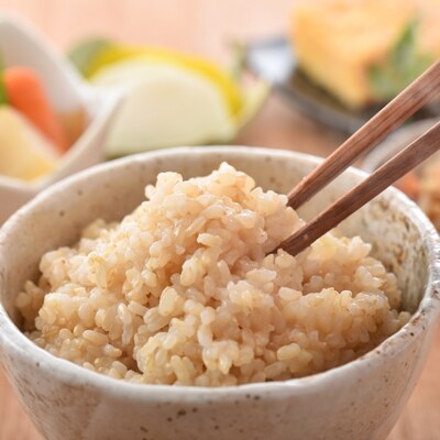 【玄米】能登のこだわりこしひかり『羽咋米』 3kg(3kg×1袋)