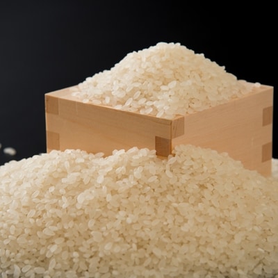 【白米】能登のこだわりこしひかり『羽咋米』 3kg(3kg×1袋)