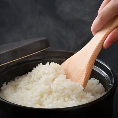 【白米】能登のこだわりこしひかり『羽咋米』 15kg(5kg×3袋)