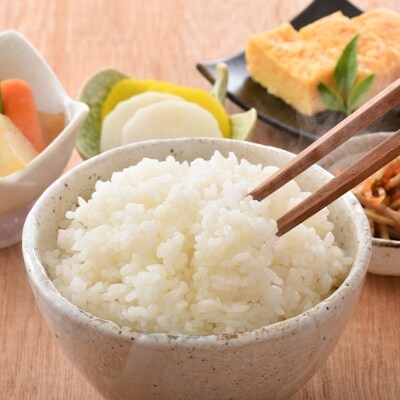 【白米】能登のこだわりこしひかり『羽咋米』 15kg(5kg×3袋)