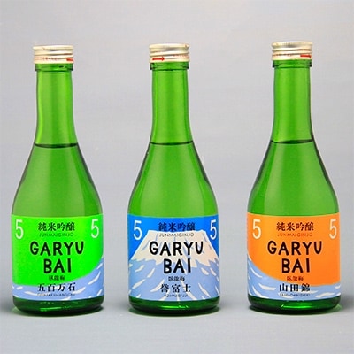 臥龍梅　純米吟醸55コレクション　飲み比べセット