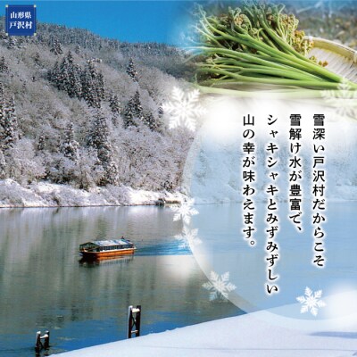 戸沢村角川産　寺台農園自慢の天然生わらび　1kg