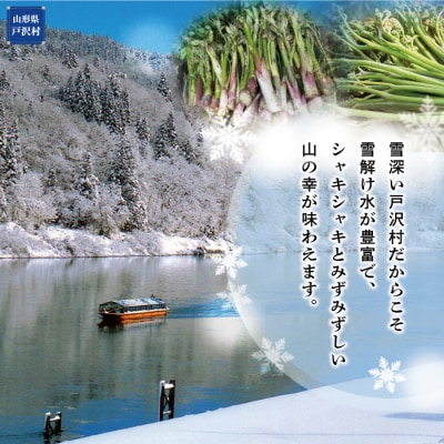 戸沢村角川産　寺台農園自慢の天然生わらび・うど