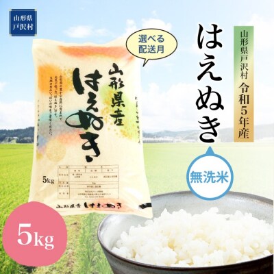 2024年5月中旬発送 令和5年産 山形県戸沢村 厳選 はえぬき【無洗米】5kg