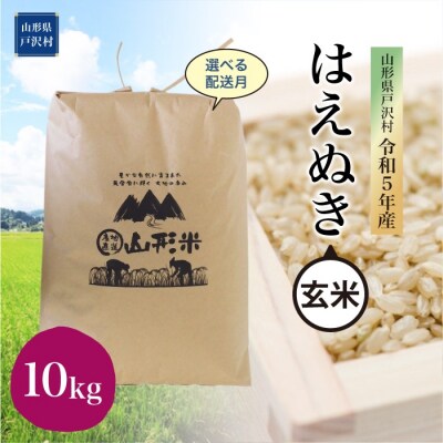 2024年8月上旬発送 令和5年産 山形県戸沢村 厳選 はえぬき【玄米】10kg