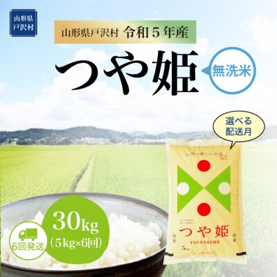<令和5年産米> 特別栽培米 つや姫 【無洗米】定期便 30kg(5kg×6回お届け)山形県 戸沢村