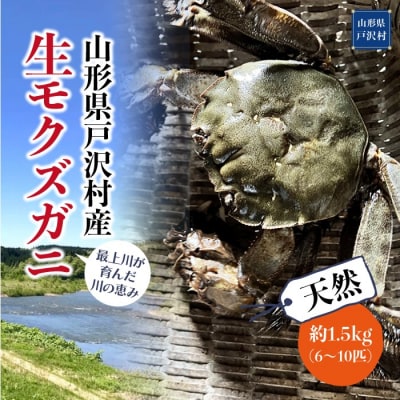 山形県戸沢村産　生モクズガニ　約1.5kg(6～10匹)