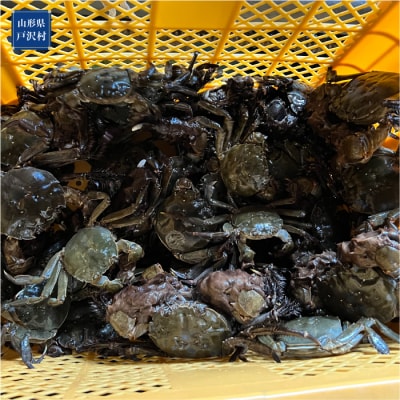 山形県戸沢村産　生モクズガニ　約1.5kg(6～10匹)