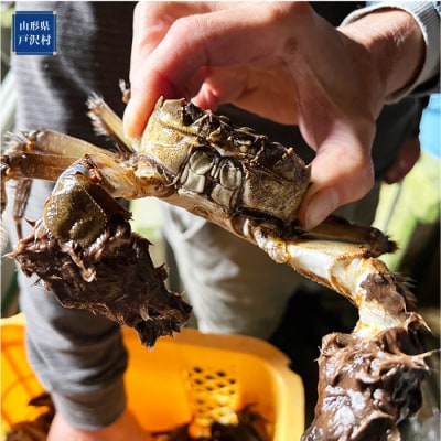 山形県戸沢村産　生モクズガニ　約1.5kg(6～10匹)
