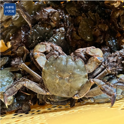 山形県戸沢村産　生モクズガニ　約1.5kg(6～10匹)