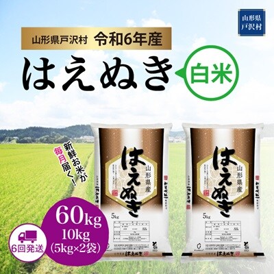 お米 山形県産 縄文の女神米 はえぬき 精米 60kg
