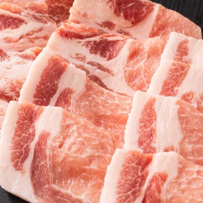 山形県 戸沢村産 戸澤豚一番育ち ロース 300g 焼肉用 豚肉 F7W-0060