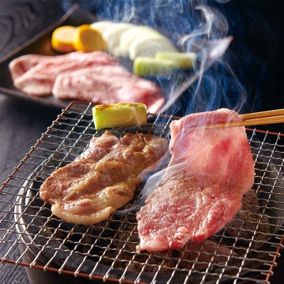 戸澤豚 2種食べ比べ 600g(ロース300g×1 バラ300g×1) 焼肉用 F7W-0072