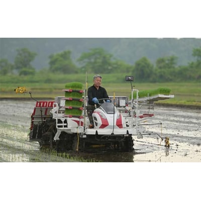 ≪2025年先行予約≫ 令和7年度 山形県戸沢村産 つや姫 5kg F7W-0095