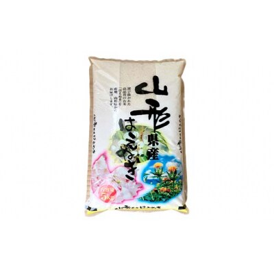 令和7年度 山形県産 はえぬき 20kg(5kg×4) 精米F7W-0260 