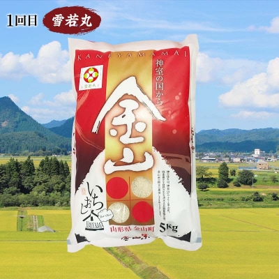 【戸沢村×金山町 共通返礼品】厳選米 食べ比べ定期便 10kg(5kg×2回) FAE-0024