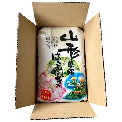 【定期便3回】山形県産 はえぬき 5kg×3回 合計15kg F7W-0123