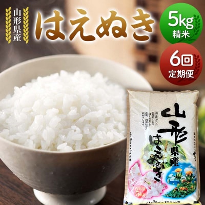 【定期便6回】山形県産 はえぬき 5kg×6回 合計30kg F7W-0124