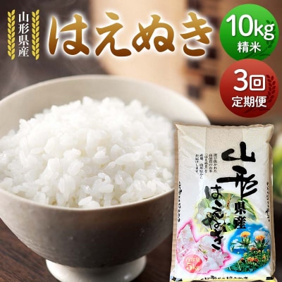【定期便3回】山形県産 はえぬき 10kg(5kg×2)×3回 合計30kgF7W-0259 