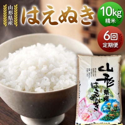 【定期便6回】山形県産 はえぬき 10kg(5kg×2)×6回 合計60kg F7W-0126