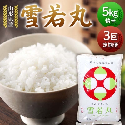 【定期3回】山形県産 雪若丸 5kg×3回 合計15kg F7W-0304