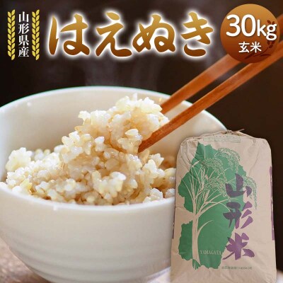 令和7年度 山形県産 はえぬき 玄米 30kg F7W-0268