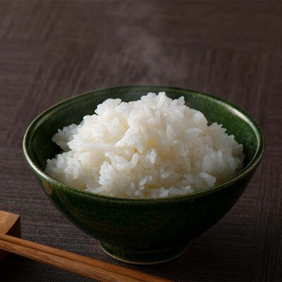 【定期便3回】山形県戸沢村産 はえぬき 10kg(5kg×2)×3回 合計30kg F7W-0232