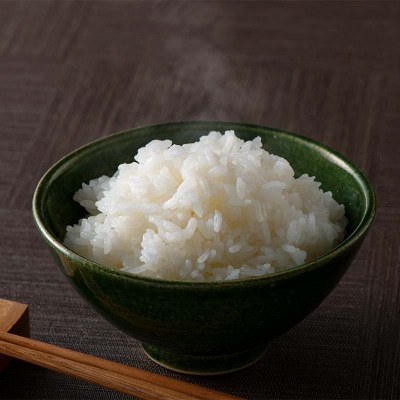 【定期便3回】山形県戸沢村産 雪若丸 10kg(5kg×2)×3回 合計30kg F7W-0170