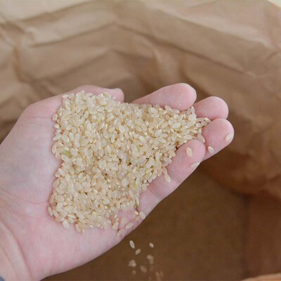 【定期便3回】令和7年度 山形県戸沢村産 つや姫 5kg×3回 合計15kg F7W-0247