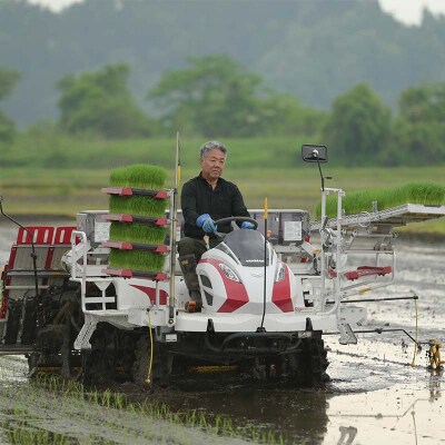 【定期便5回】令和7年度 山形県戸沢村産 はえぬき 5kg×5回 合計25kg F7W-0229