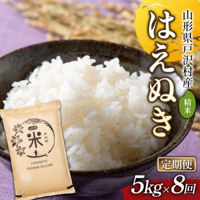 【定期便8回】令和7年度 山形県戸沢村産 はえぬき 5kg×8回 合計40kg F7W-0191