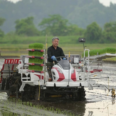 【定期便5回】令和7年度 山形県戸沢村産 雪若丸 5kg×5回 合計25kgF7W-0239 