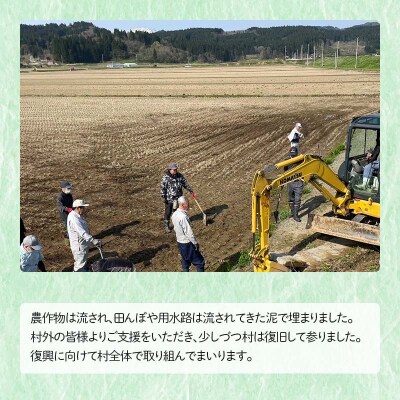 復興応援米 令和7年度 山形県戸沢村産 つや姫 4kg(2kg×2) 精米 F7W-0220