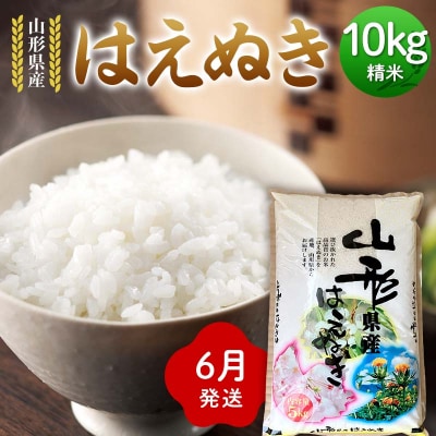≪2026年6月発送≫ 令和7年度 山形県産 はえぬき 10kg(5kg×2) F7W-0289
