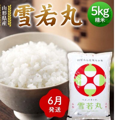 ≪2026年6月発送≫ 令和7年度 山形県産 雪若丸 5kg 精米 F7W-0300