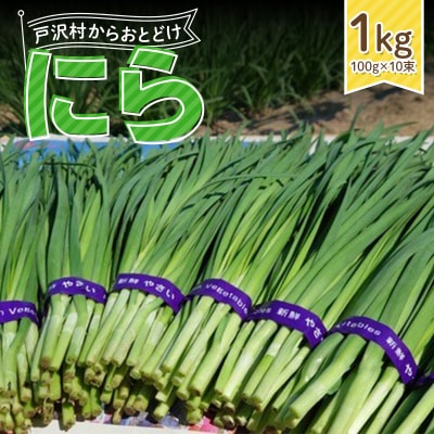 山形県 戸沢村産 にら 1kg(10束) 2026年5月下旬から順次発送 F7W-0336