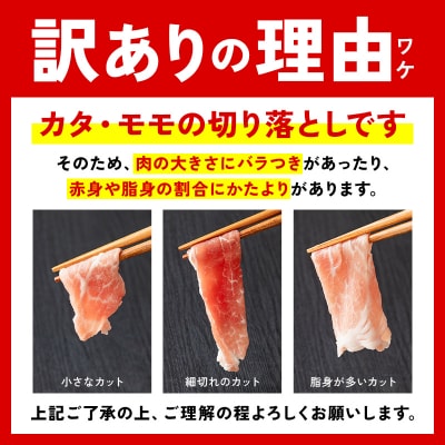 山形県 戸沢村産 戸澤豚一番育ち 切り落とし 600g(300g×2) 豚肉 F7W-0344
