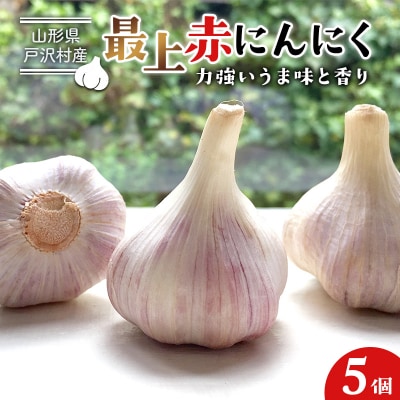 山形県 戸沢村産 最上赤にんにく 5個 約250g F7W-0501