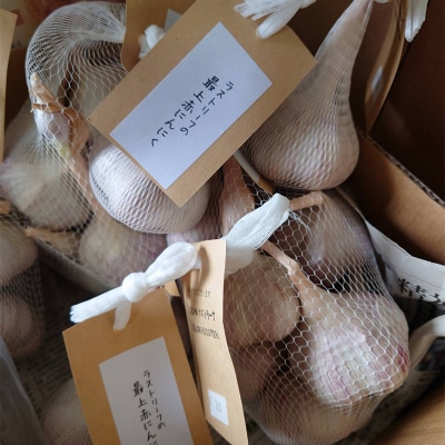 山形県 戸沢村産 最上赤にんにく 5個 約250g F7W-0501