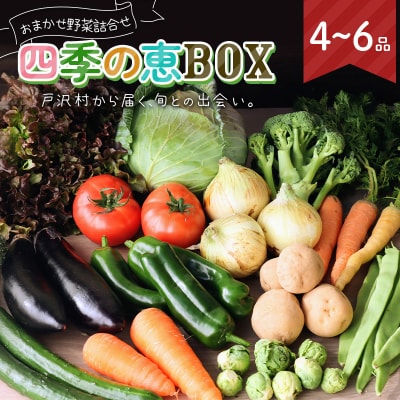 野菜詰合せ 農家のおまかせ 四季の恵BOX 4～6品 旬の野菜を1回お届け F7W-0499